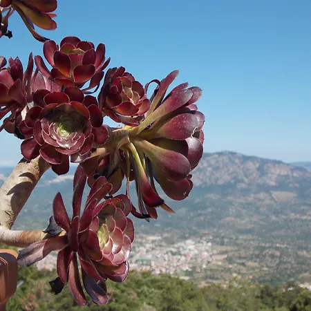 Ξενοδοχείο S'enis Monte Maccione Oliena