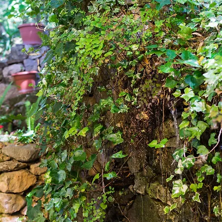 S'enis Monte Maccione