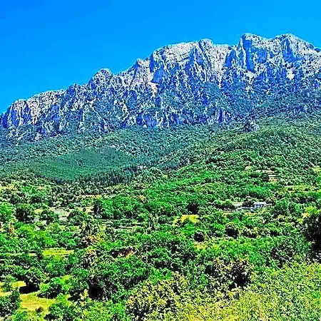 Отель S'enis Monte Maccione Ольена