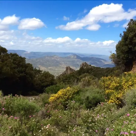 S'enis Monte Maccione ホテル