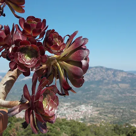 S'enis Monte Maccione Hotel