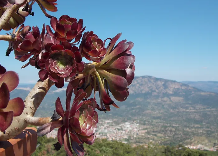 Hotel S'enis Monte Maccione Oliena