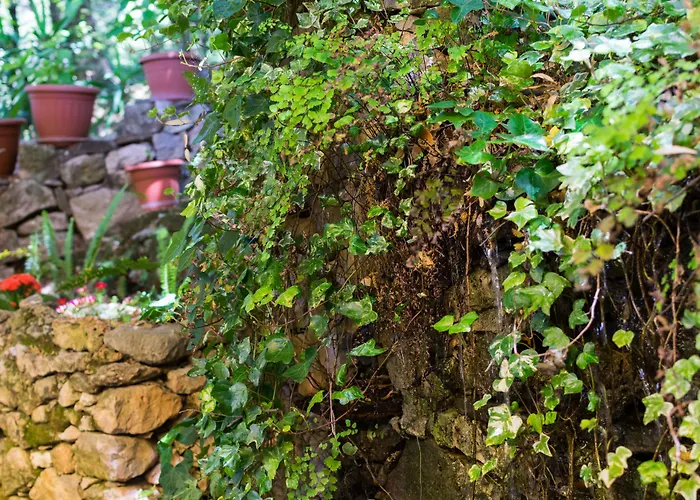 S'enis Monte Maccione