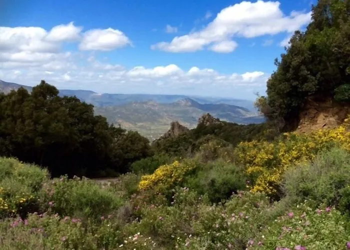 S'enis Monte Maccione Hotel